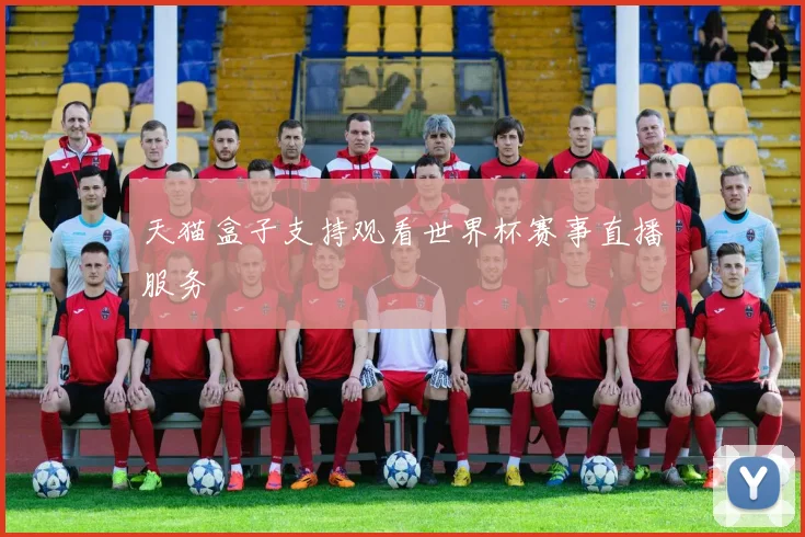 天猫盒子支持观看世界杯赛事直播服务